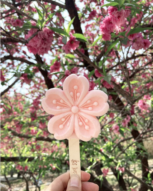 4月的北京玉渊潭公园里,"樱花活动工坊"内销售的樱花冰淇淋,樱花