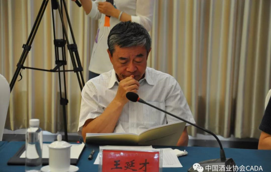 威龙股份董事长_布加迪威龙(3)