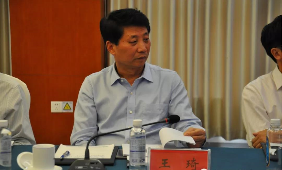 威龙股份董事长_布加迪威龙(2)