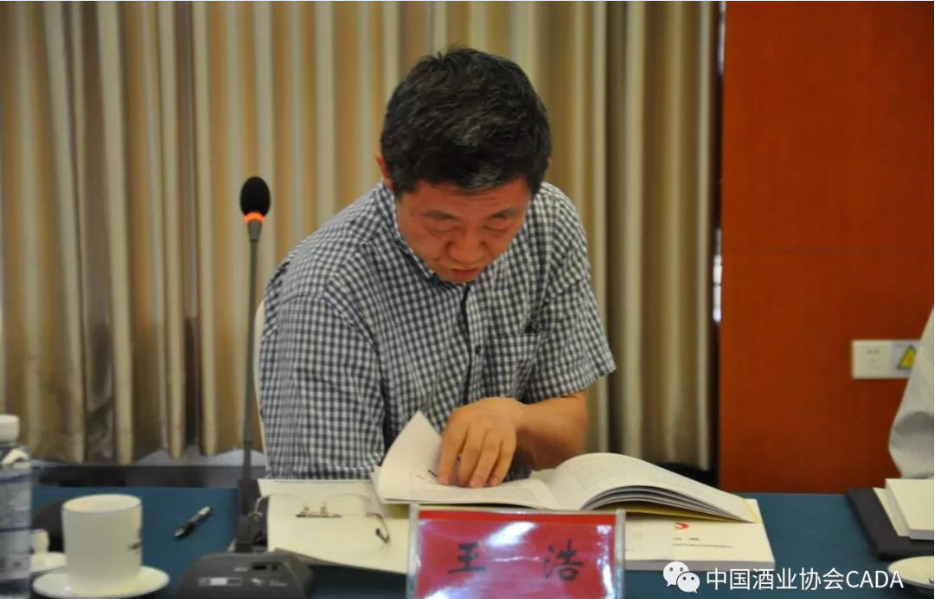 威龙股份董事长_布加迪威龙(3)