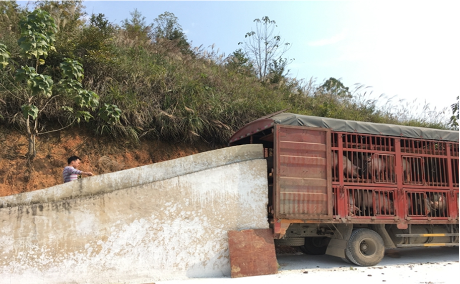 微信图片_20181122104816