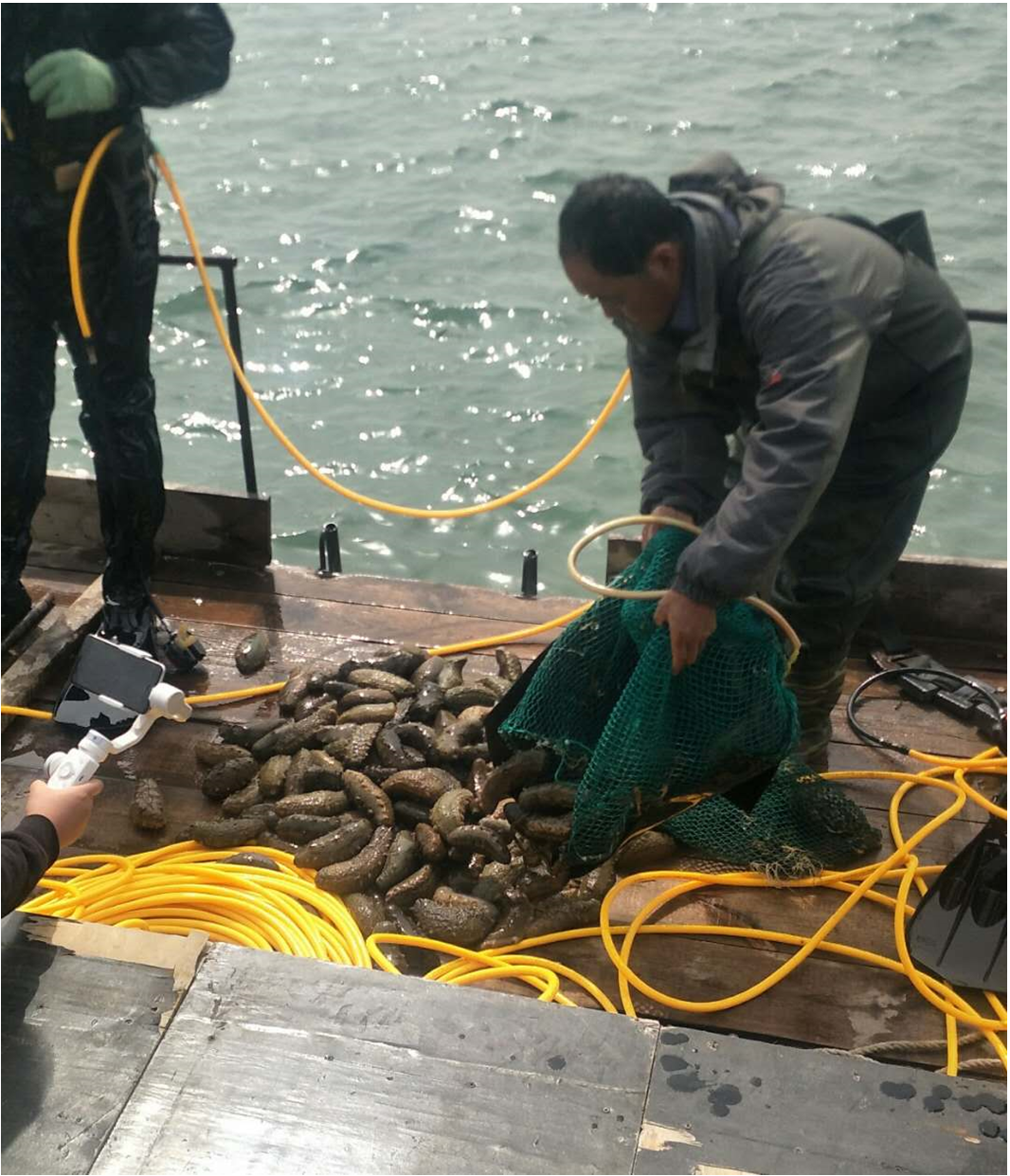 微信图片_201903281553221