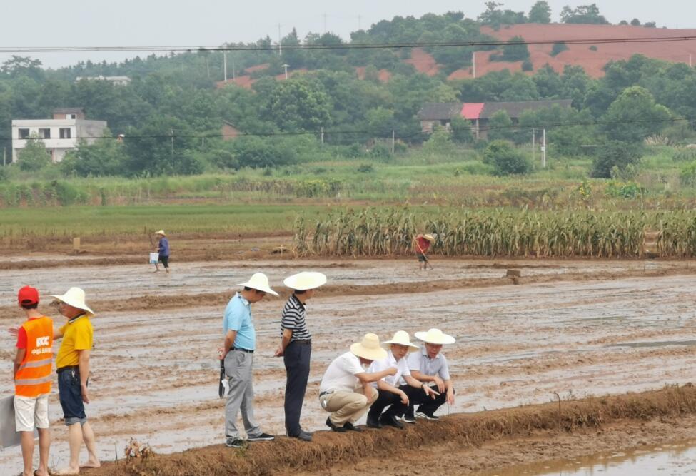 衡阳农业人口_衡阳高铁站图片