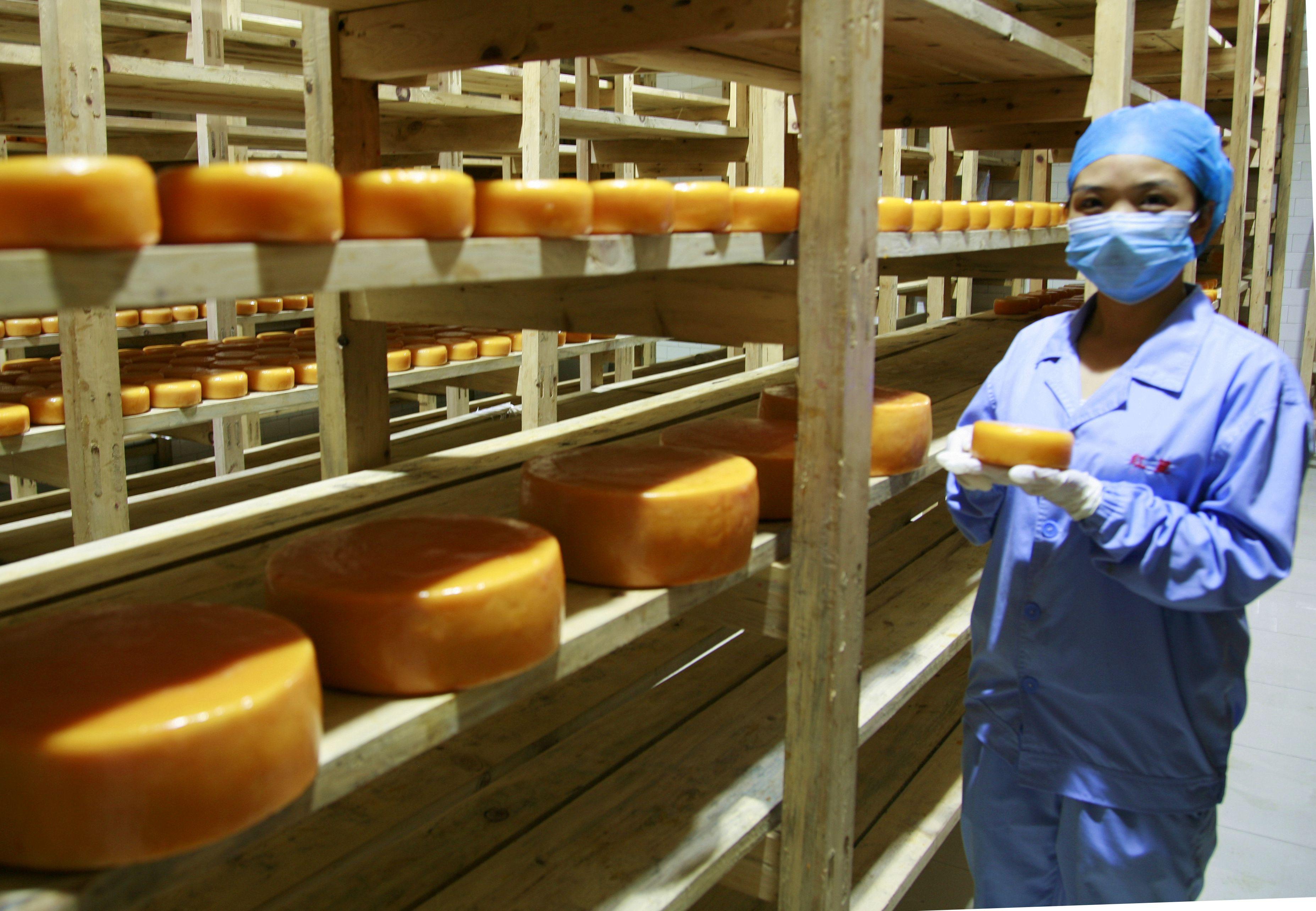 奶酪消费将迎来发展新阶段，从根本上推动奶业可持续发展