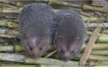 1569321927568372.png image.png