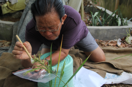 1579500815240099.png image.png