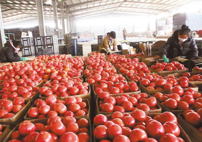 1582536157173027.png image.png