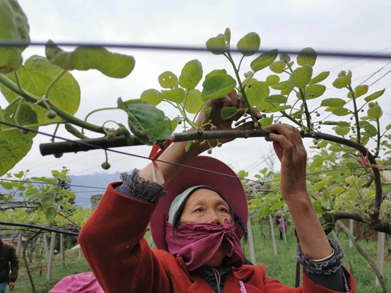 1584598380873819.png image.png