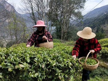 1584606919458366.png image.png