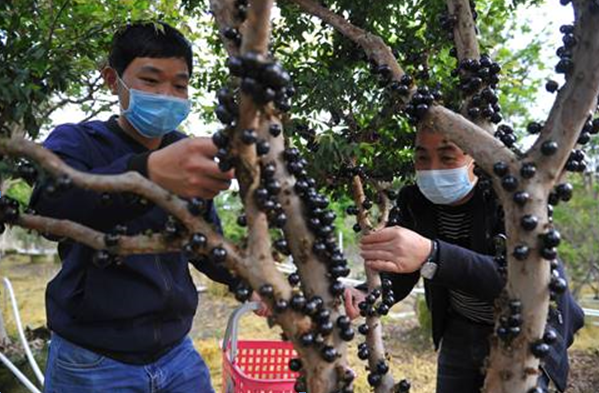 1584951841651260.png image.png