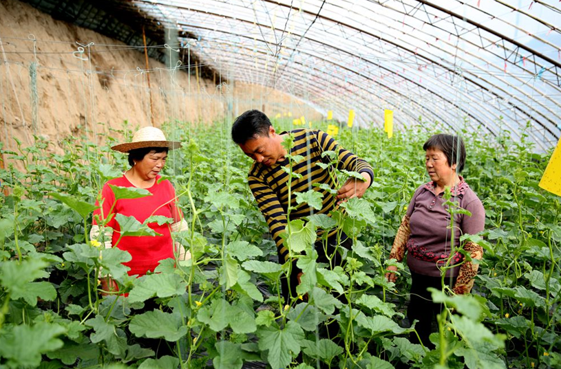 1585192183397339.png image.png