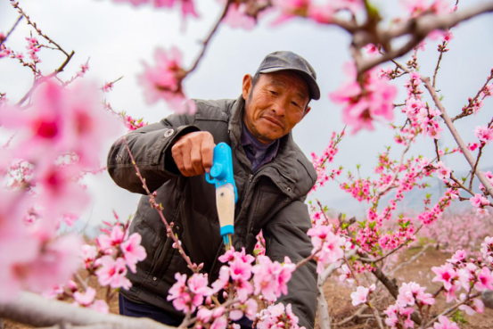 1585704413670347.png image.png