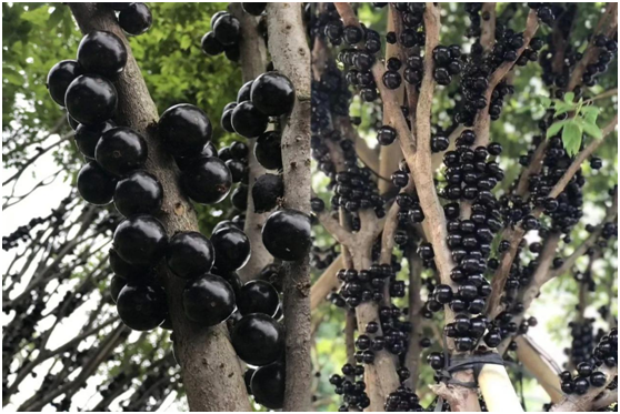 1585708275359197.png image.png