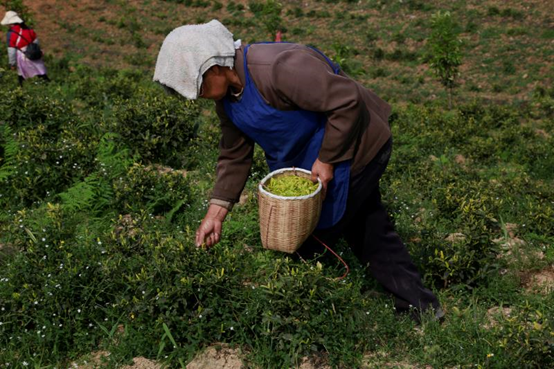 1586079777565639.png image.png