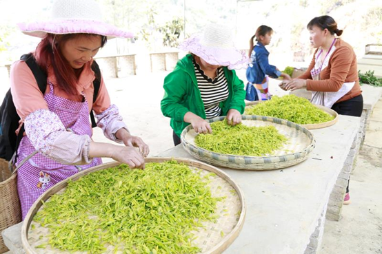 1586079784795066.png image.png