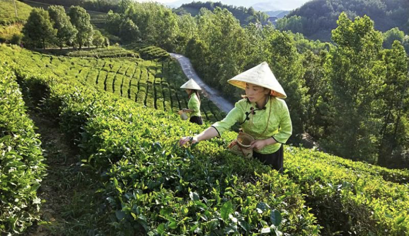 谷城县2020春九年级_2014届湖北襄阳市谷城县九年级中考适应考历史试卷