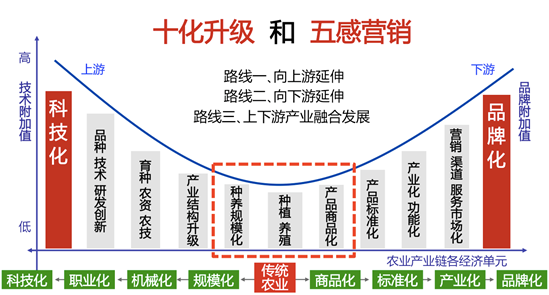 品牌农业怎么搞 1596799965717612.png