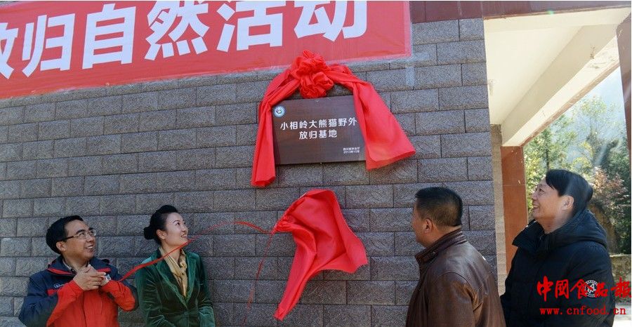 QQ图片20131106153228