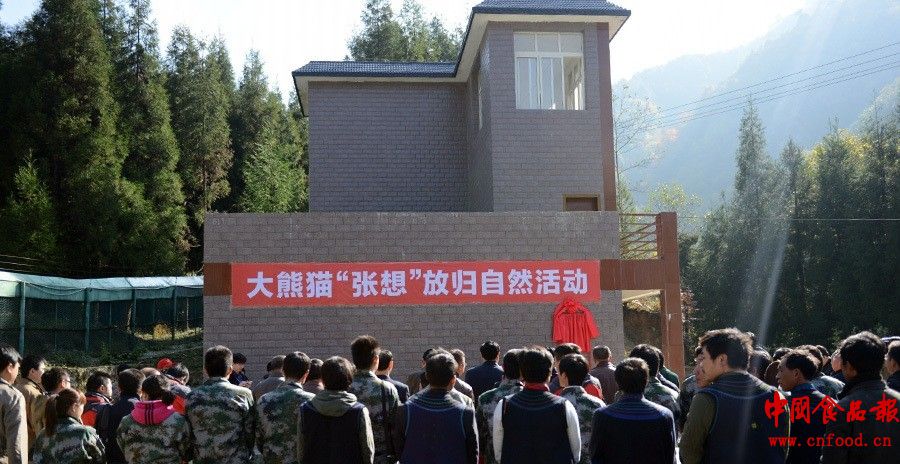 QQ图片20131106153256