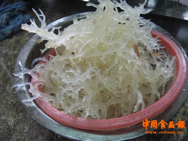 海燕窝