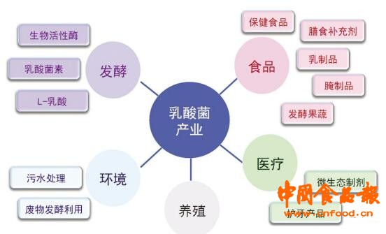 差异化多元化外延化我国益生菌产业呈现三大趋势 中国食品报网