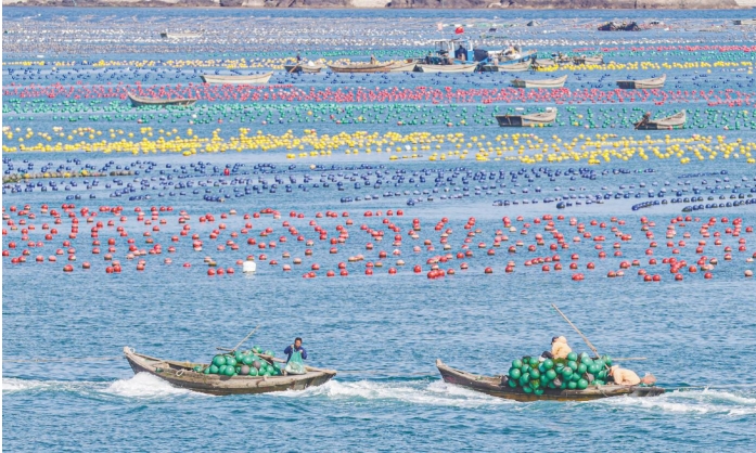 “繪”出海上“漁耕圖”