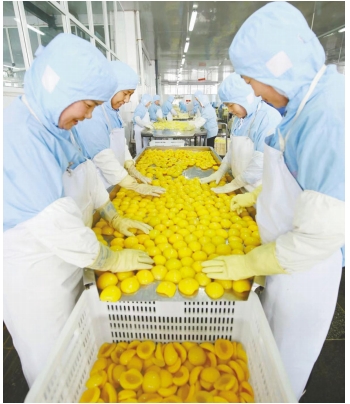 平邑罐頭：串起產業鏈 釋放強動能