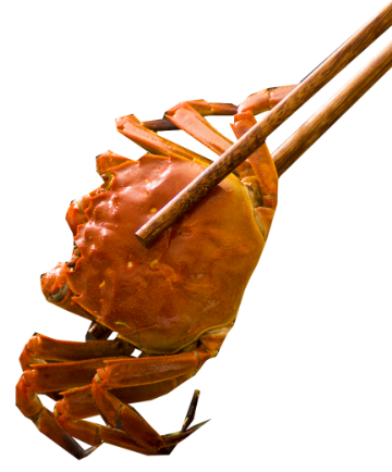 鮮香美味又營養 遠離謠言信科學 秋季吃大閘蟹的正確打開方式