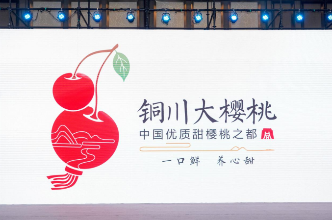 “铜川苹果”“铜川大樱桃”两大品牌新形象亮相第二十届农交会(图3)