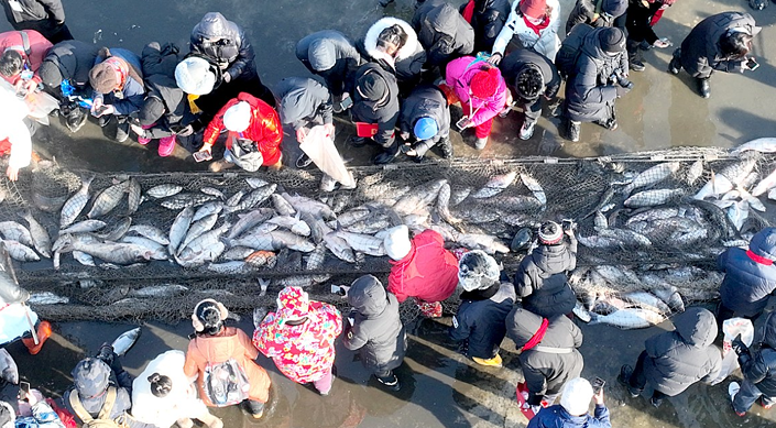 黑龙江肇东：“冷资源”生成“热经济”