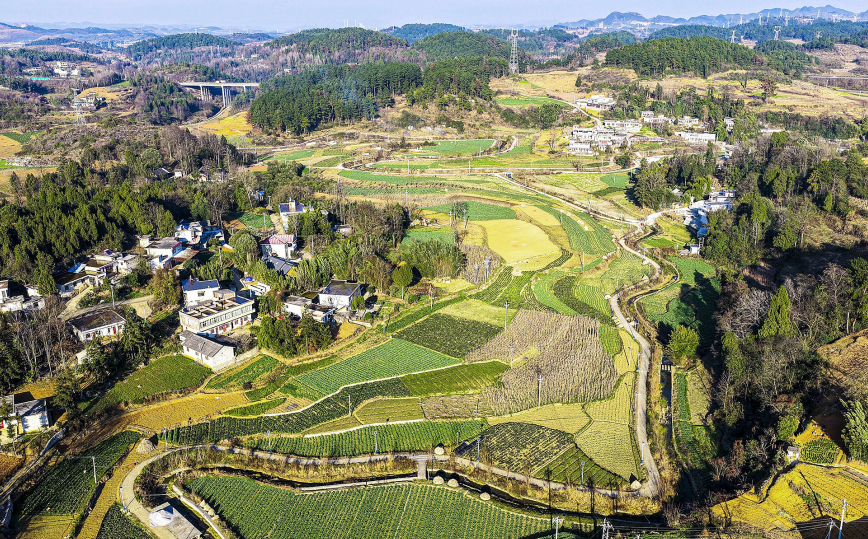 贵州黔西：党建引领 助力乡村振兴行稳致远